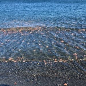 Meet your Posher, Isabel